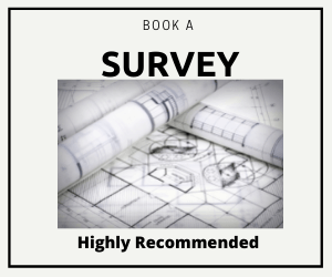survey